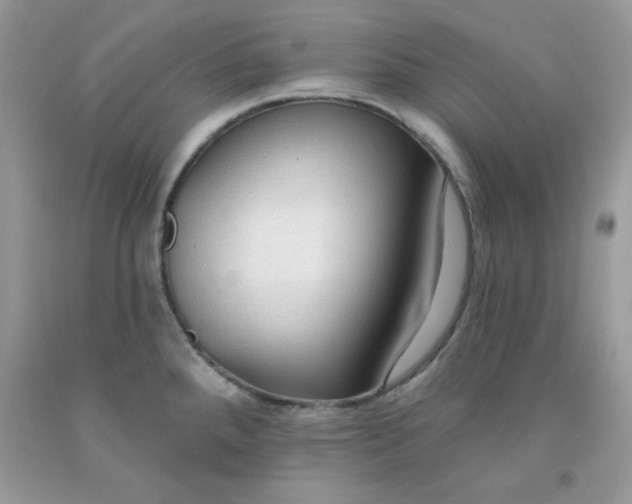 X0000091701288200709141052