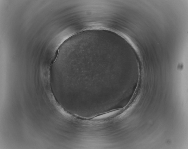 X0000091701289200709141052