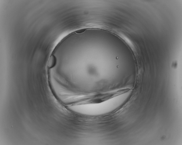 X0000091701291200709141052