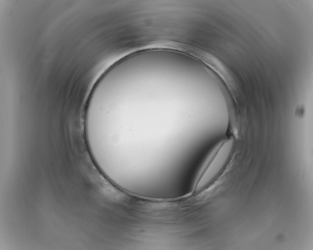 X0000091701292200709141052