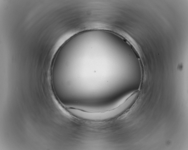 X0000091701293200709141052