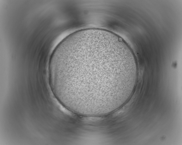 X0000091701294200709141052