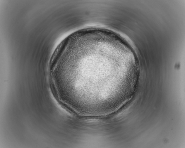 X0000091701295200709141052