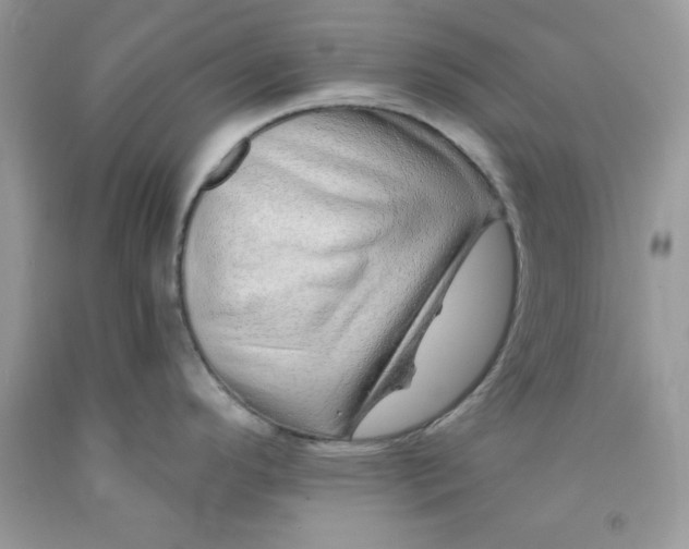 X0000091701296200709141052