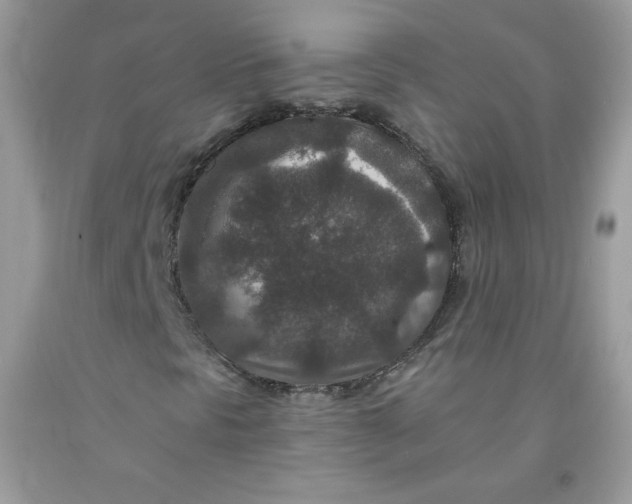 X0000091701297200709141051