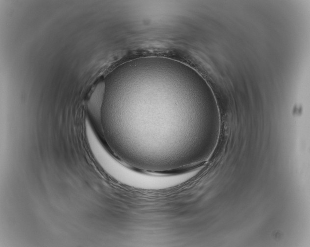 X0000091701298200709141051