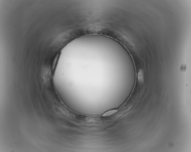 X0000091701299200709141051