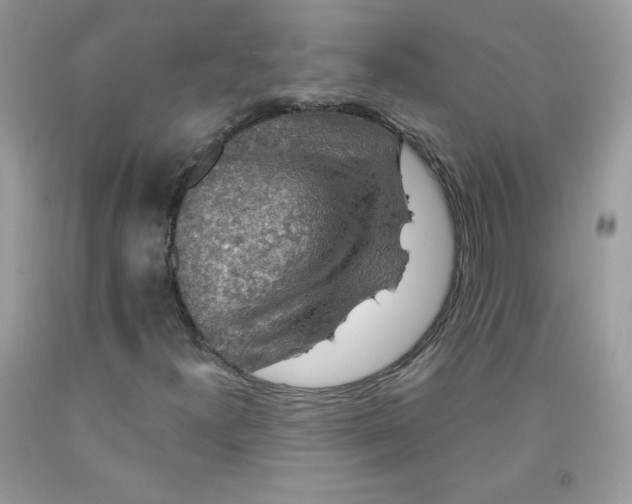 X0000091701300200709141051