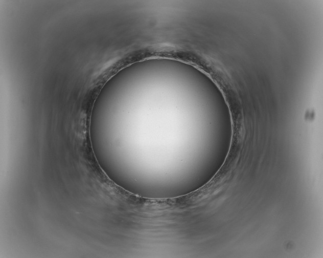 X0000091701301200709141051