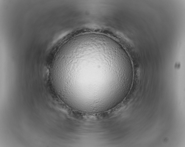 X0000091701302200709141051