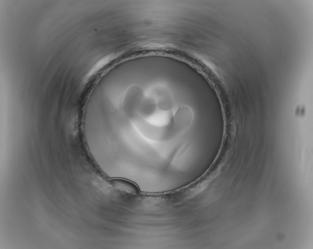 X0000091701306200709141051