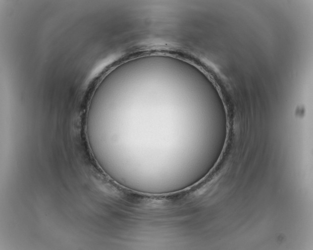 X0000091701309200709141051