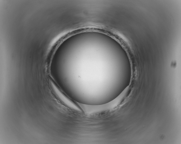 X0000091701310200709141051