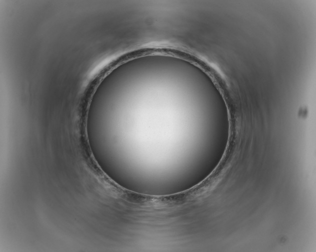 X0000091701311200709141051