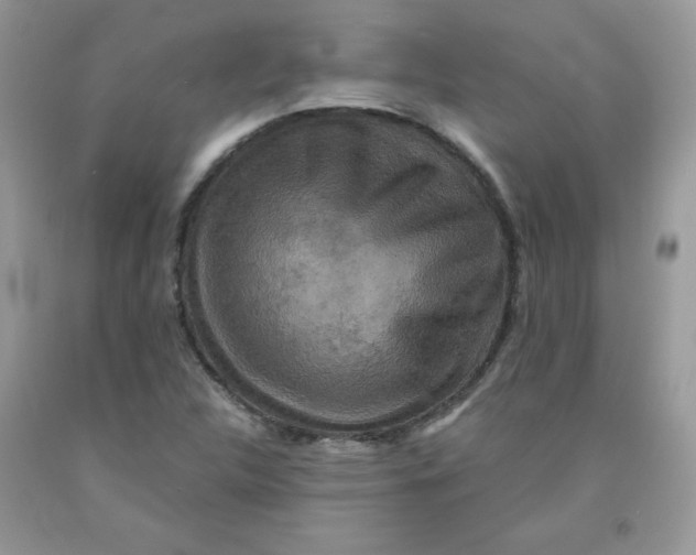 X0000091701312200709141051