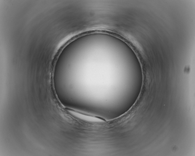 X0000091701316200709141051