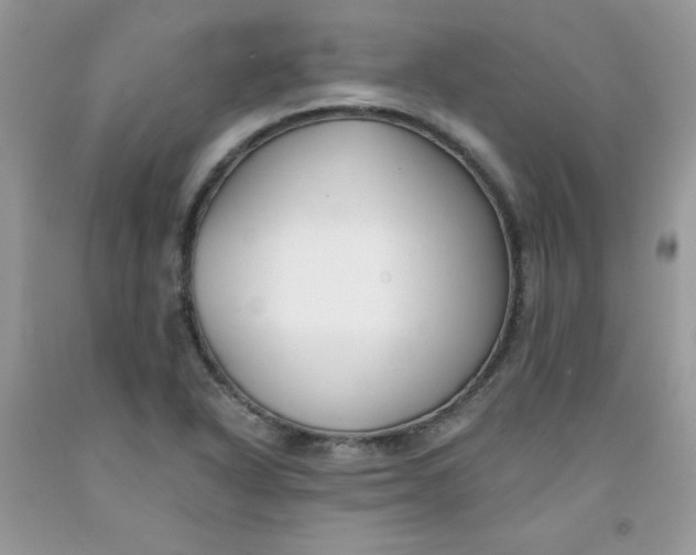 X0000091701318200709141051