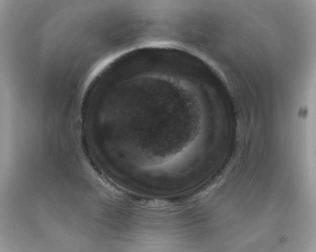 X0000091701319200709141051