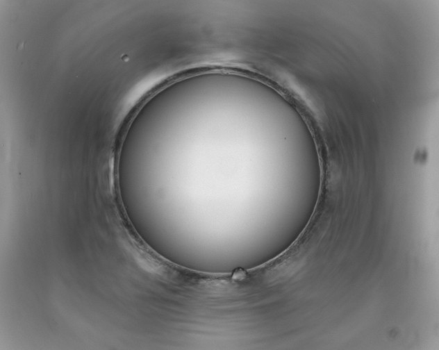 X0000091701320200709141051