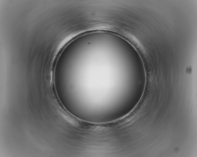 X0000091701324200709141051