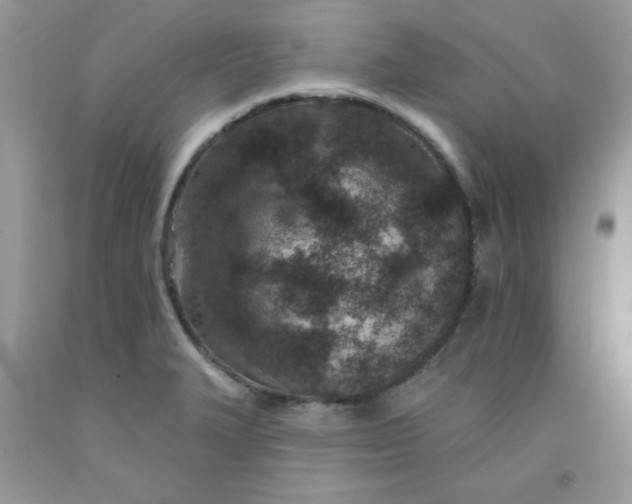 X0000091701327200709141051