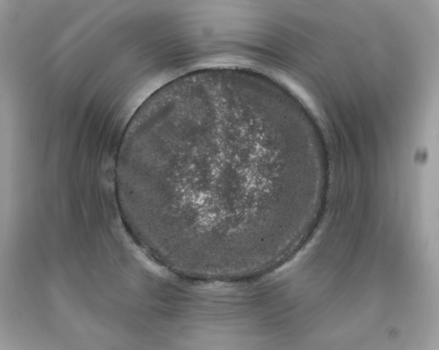 X0000091701329200709141052