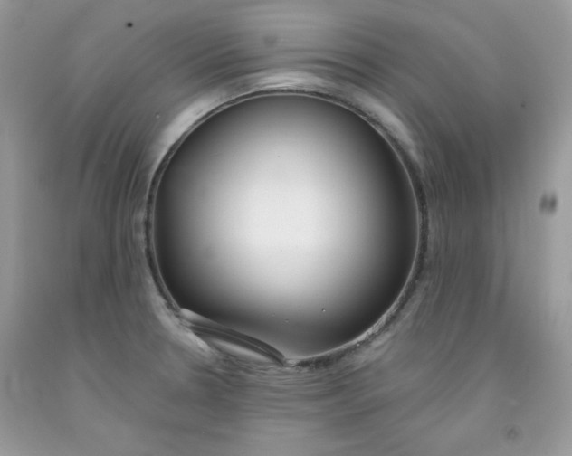 X0000091701330200709141052