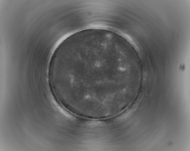 X0000091701331200709141052