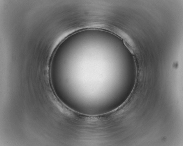 X0000091701332200709141052