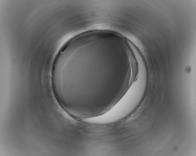 X0000091701334200709141052