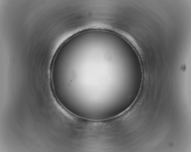 X0000091701335200709141052