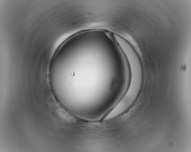 X0000091701336200709141052