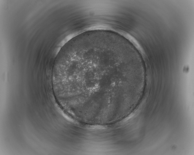 X0000091701337200709141052