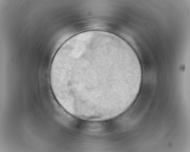 X0000091701338200709141052