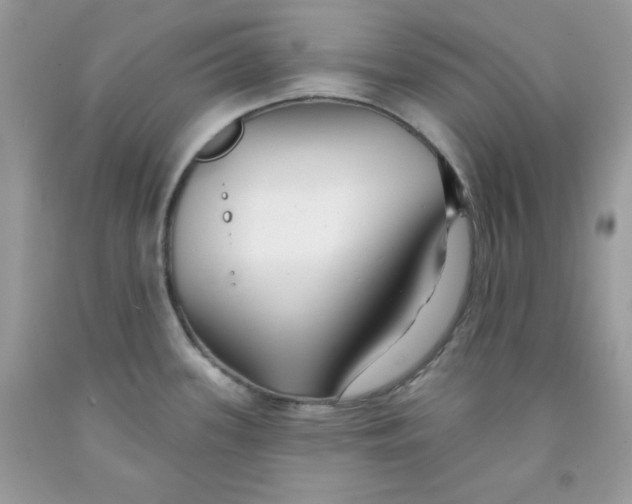 X0000091701339200709141052