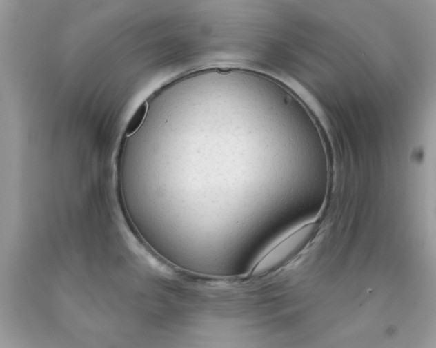 X0000091701341200709141052