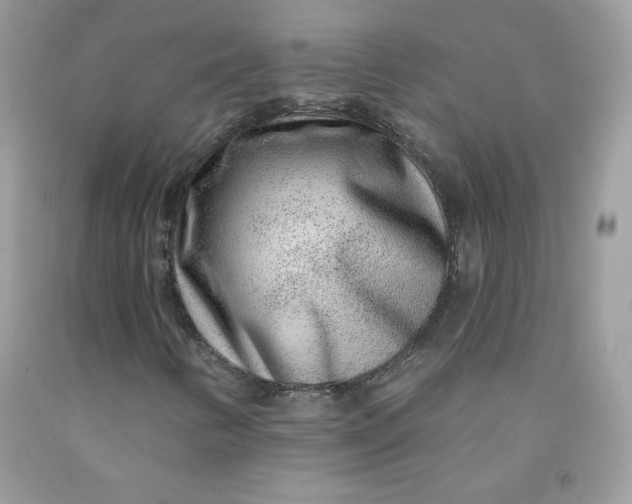 X0000091701346200709141051