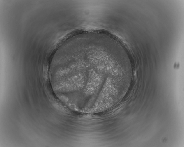 X0000091701348200709141051