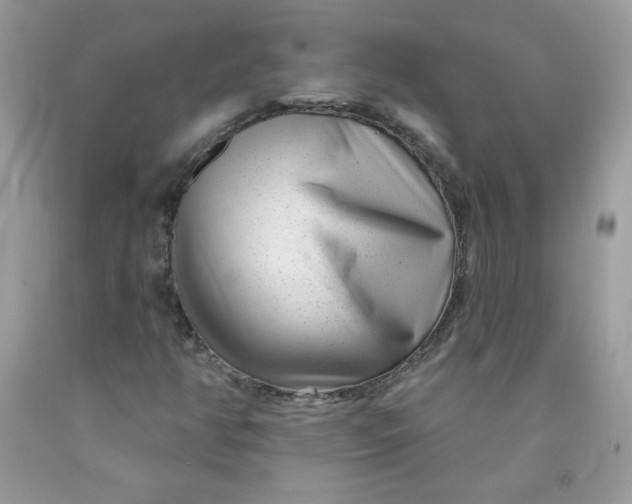 X0000091701350200709141051