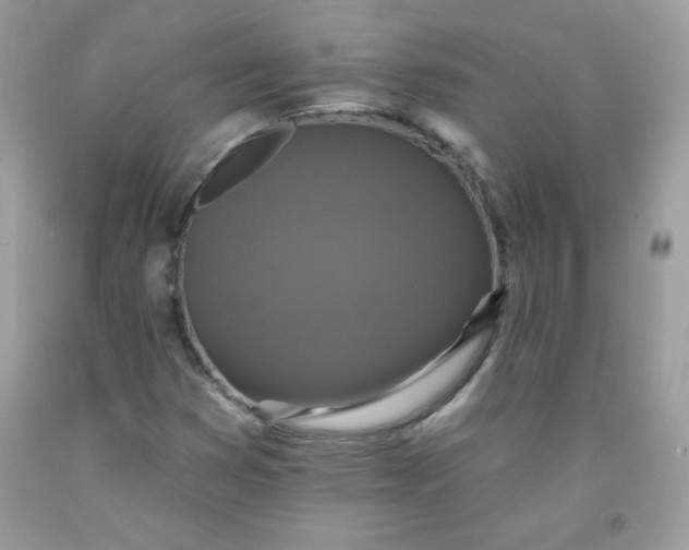 X0000091701353200709141051