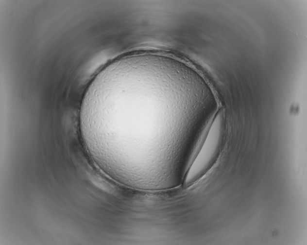 X0000091701355200709141051