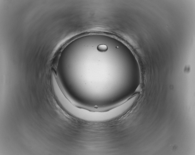 X0000091701356200709141051