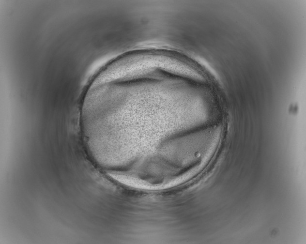 X0000091701358200709141051