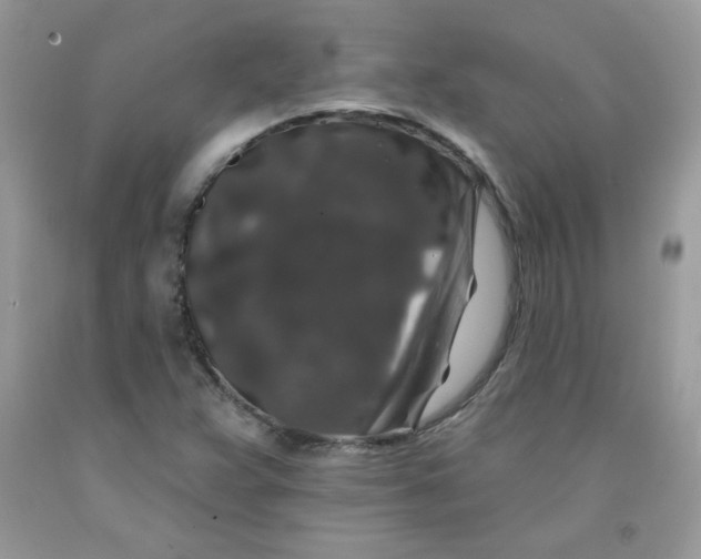 X0000091701359200709141051