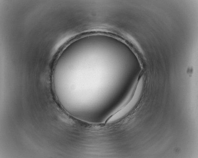 X0000091701360200709141051