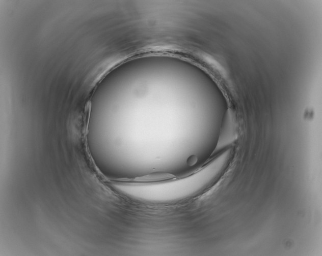 X0000091701361200709141051