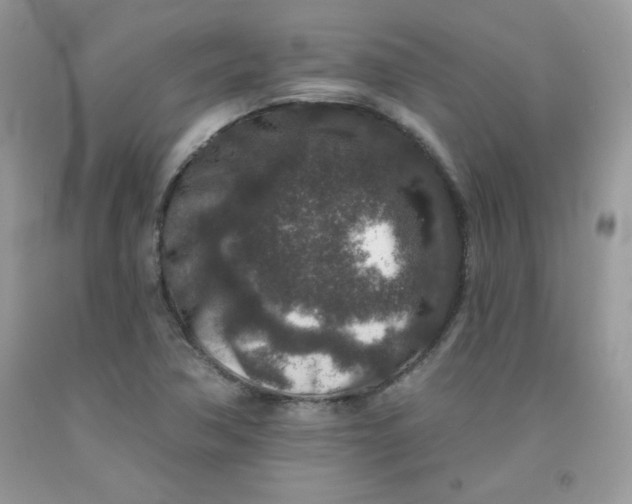 X0000091701362200709141051