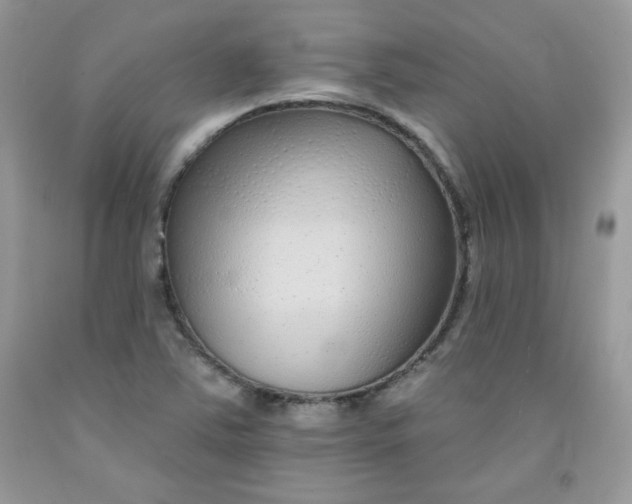 X0000091701363200709141051