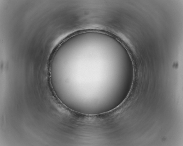 X0000091701364200709141051