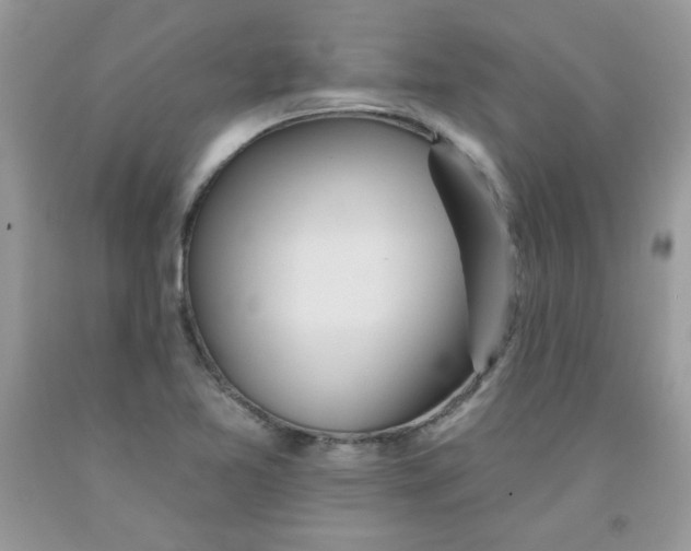 X0000091701365200709141051